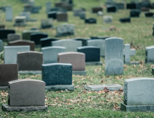 Why is Life Expectancy Decreasing in the USA?